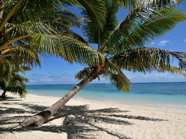 Madagascar wildlife and beaches vacation