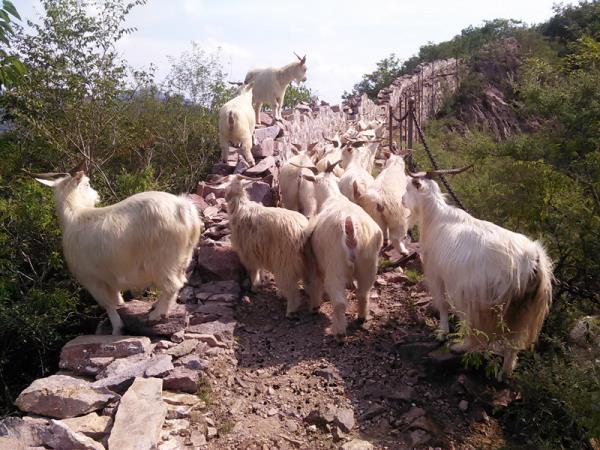 12 day Great Wall of China hiking tour