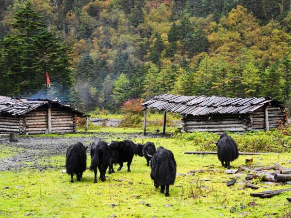 Yunnan trekking holiday, Mt Meili to Cizhong