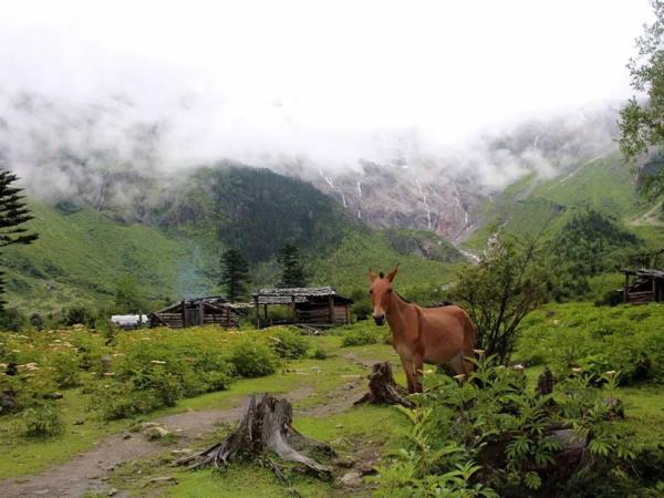 Yunnan trekking holiday, Mt Meili to Cizhong