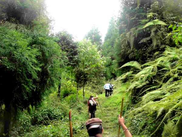 Cultural and rural tour of East India