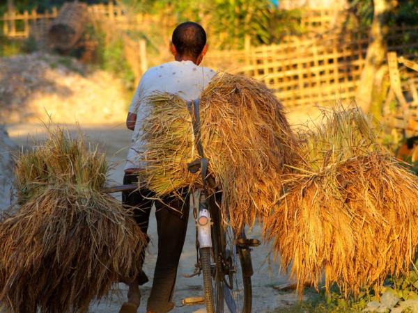 Cultural and rural tour of East India