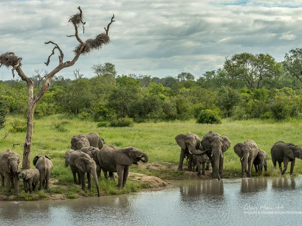 South Africa wildlife photography safari