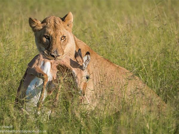 South Africa wildlife photography safari