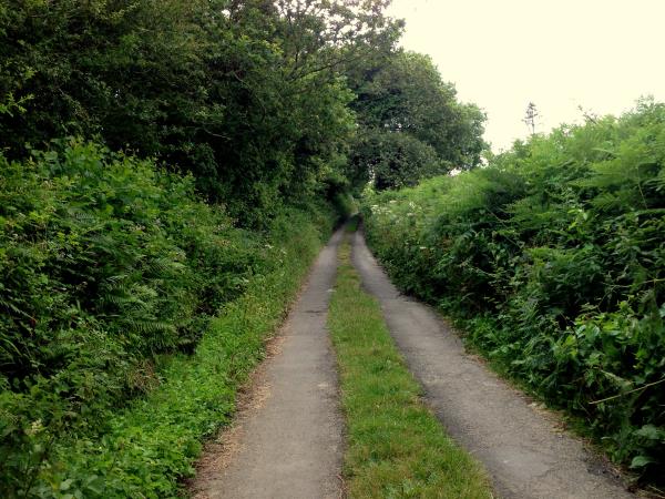 Electric bike cycling holiday in Devon
