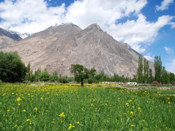 Ladakh and Changtang cultural tour, India