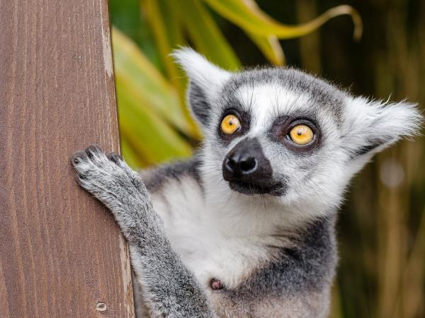 Madagascar 6 day tour