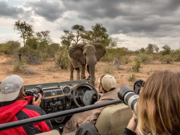 Wildlife photography & conservation volunteering in south Africa