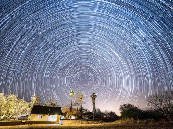 Wildlife photography & conservation volunteering in south Africa