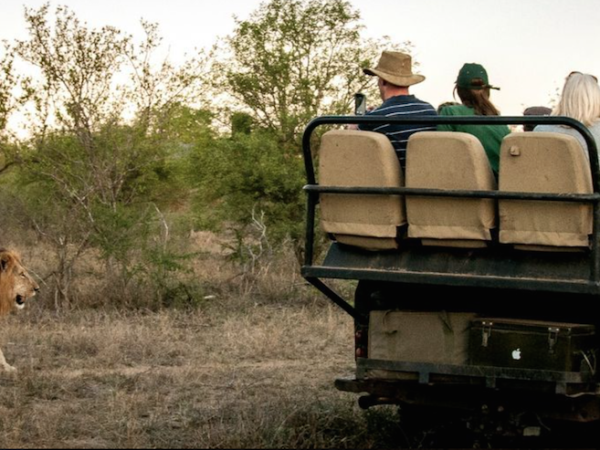 Wildlife photography & conservation volunteering in south Africa