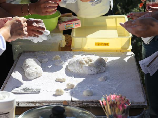 Japan culinary heritage tour