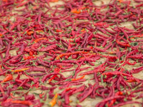 Japan culinary heritage tour