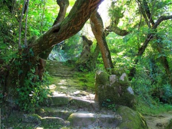 Sintra Natural Park retreats & walks in Portugal