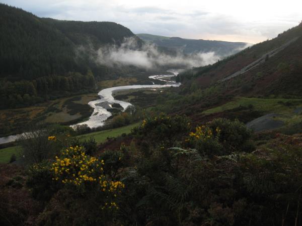 Vegetarian bed & breakfast in West Wales