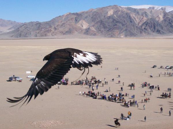 Mongolia horse riding vacation, Altai Taster