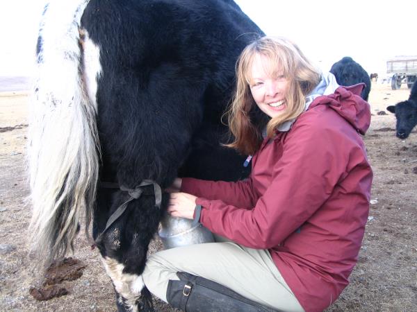 Mongolia horse riding vacation, Altai Taster