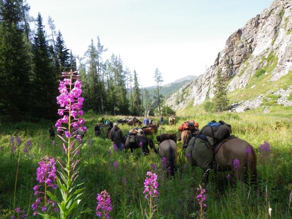Mongolia horse riding vacation, Altai Taster