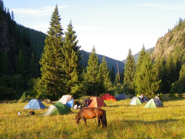 Mongolia horse riding vacation, Altai Taster