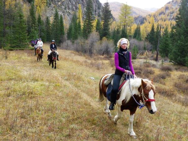 Mongolia horse riding vacation, Altai Taster