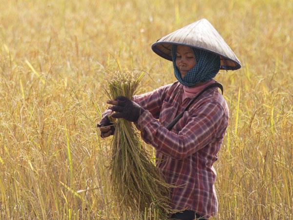 Cambodia travel photography tour