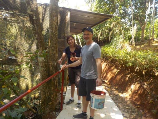 Wildlife rescue volunteering in Costa Rica