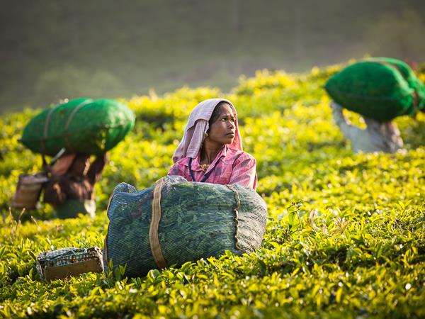 Photography vacation in southern India