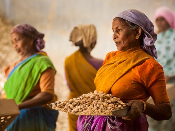 Photography vacation in southern India