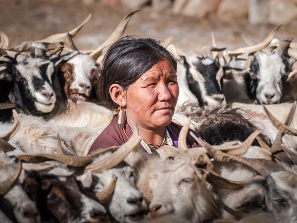 Ladakh photography tour, India