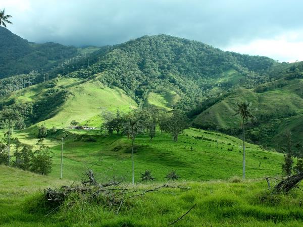 Colombia tailor made vacation, culture and nature