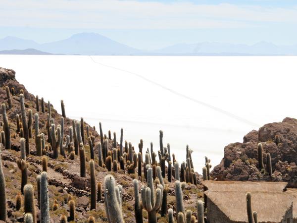 Bolivia vacation, tailor made