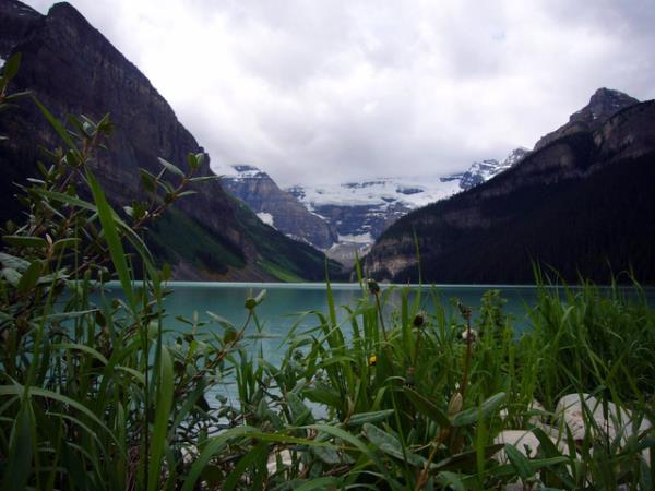 Canada vacation, national parks and wildlife