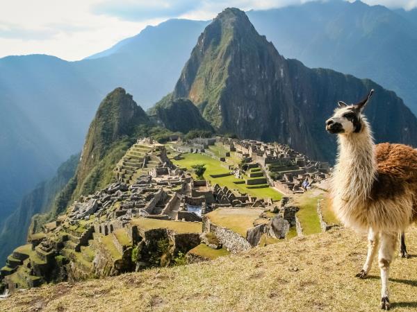 Volunteer in Peru, teaching and sports