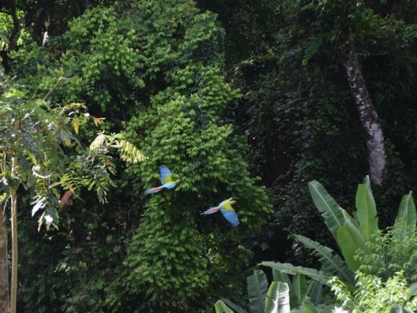 Costa Rica activity vacation, including volunteering