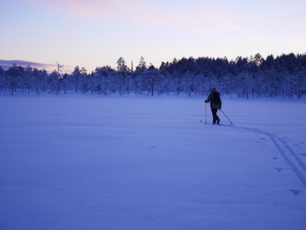 New year Northern Lights vacation, Sweden