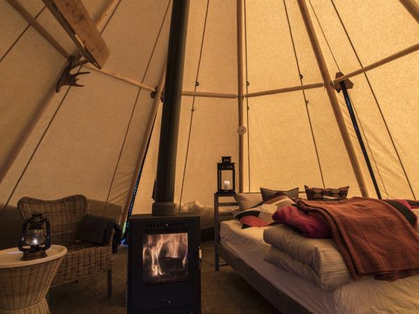 Northern Lights and wildlife vacation in Swedish Lapland