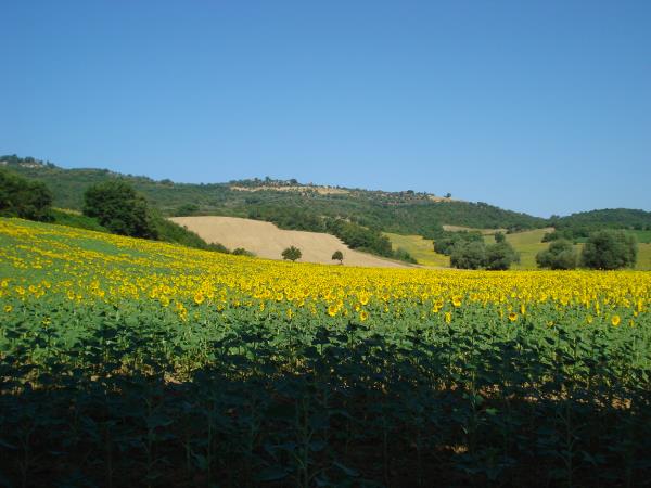 Umbria family holiday, Italy
