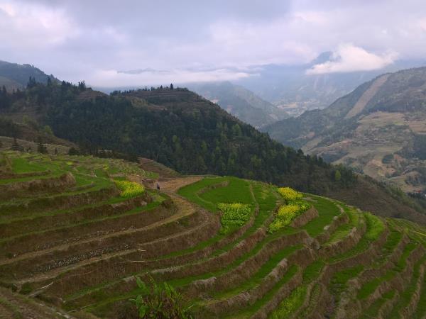 Cultural hiking vacation to China