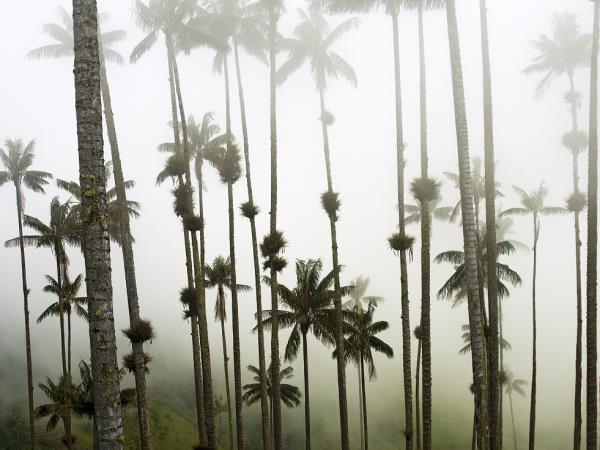 Highlights of Colombia vacation, tailor-made