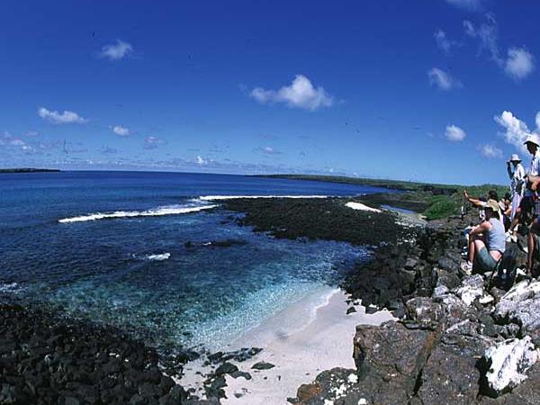 Galapagos cruise options, tailor made