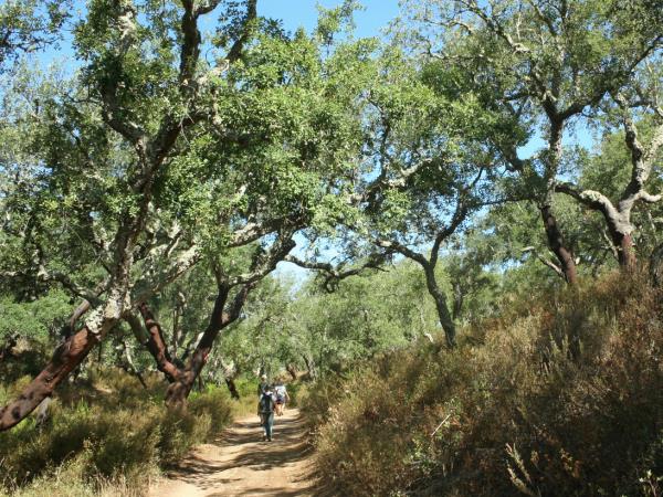 Portugal hiking holiday, highlights of Rota Vicentina