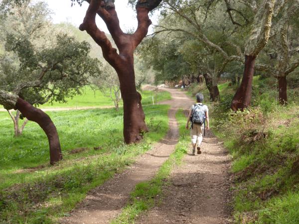 Portugal hiking holiday, highlights of Rota Vicentina