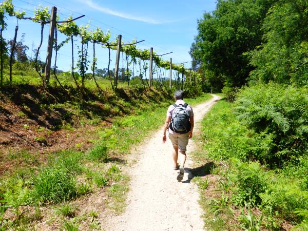 Northern Portugal self-guided hiking vacation