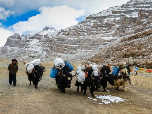 21 days Tibet 4WD in depth tour