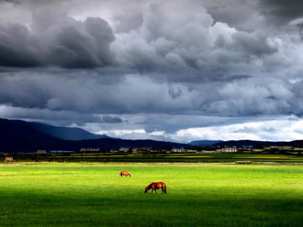 Cycling vacation in Yunnan, Zhongdian & Lijiang
