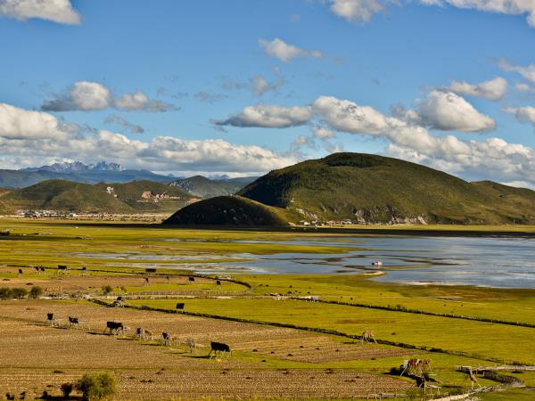 Cycling vacation in Yunnan, Zhongdian & Lijiang
