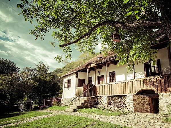 Discover Transylvania vacation