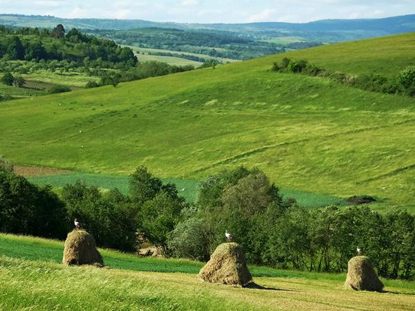 Discover Transylvania vacation