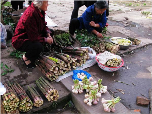 Cycling holiday in Sichuan, China