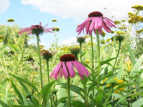 Loire Valley self catering accommodation