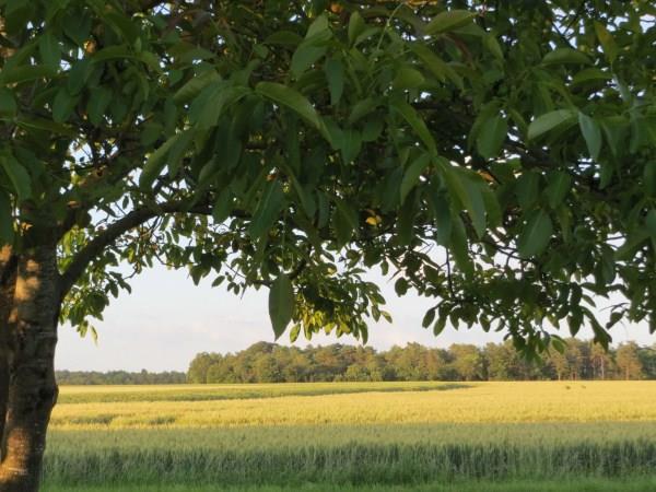 Loire Valley self catering accommodation, France